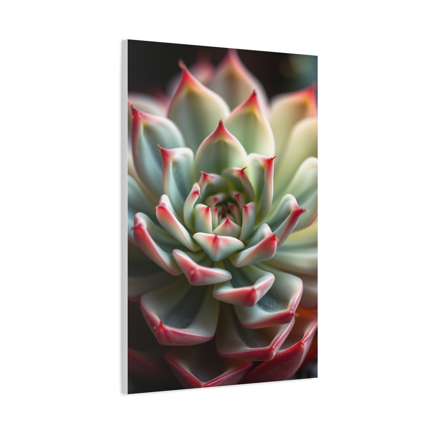 Succulent Art Refined Canvas Wall Art & Canvas Print