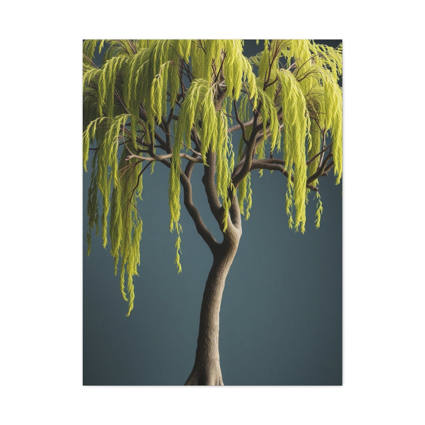 Willow Tree Art Luxury Canvas Wall Art & Canvas Print