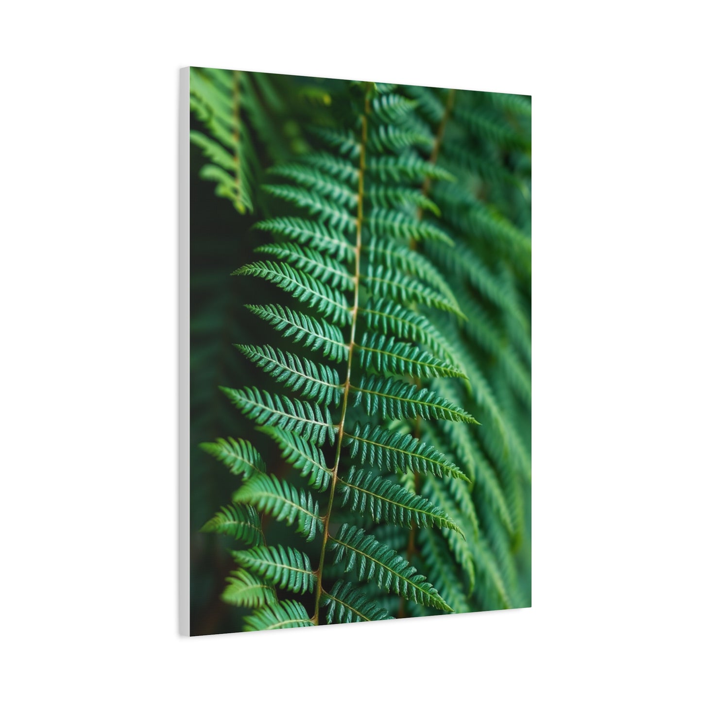 Elite Fern Art Vision Wall Art & Canvas Print