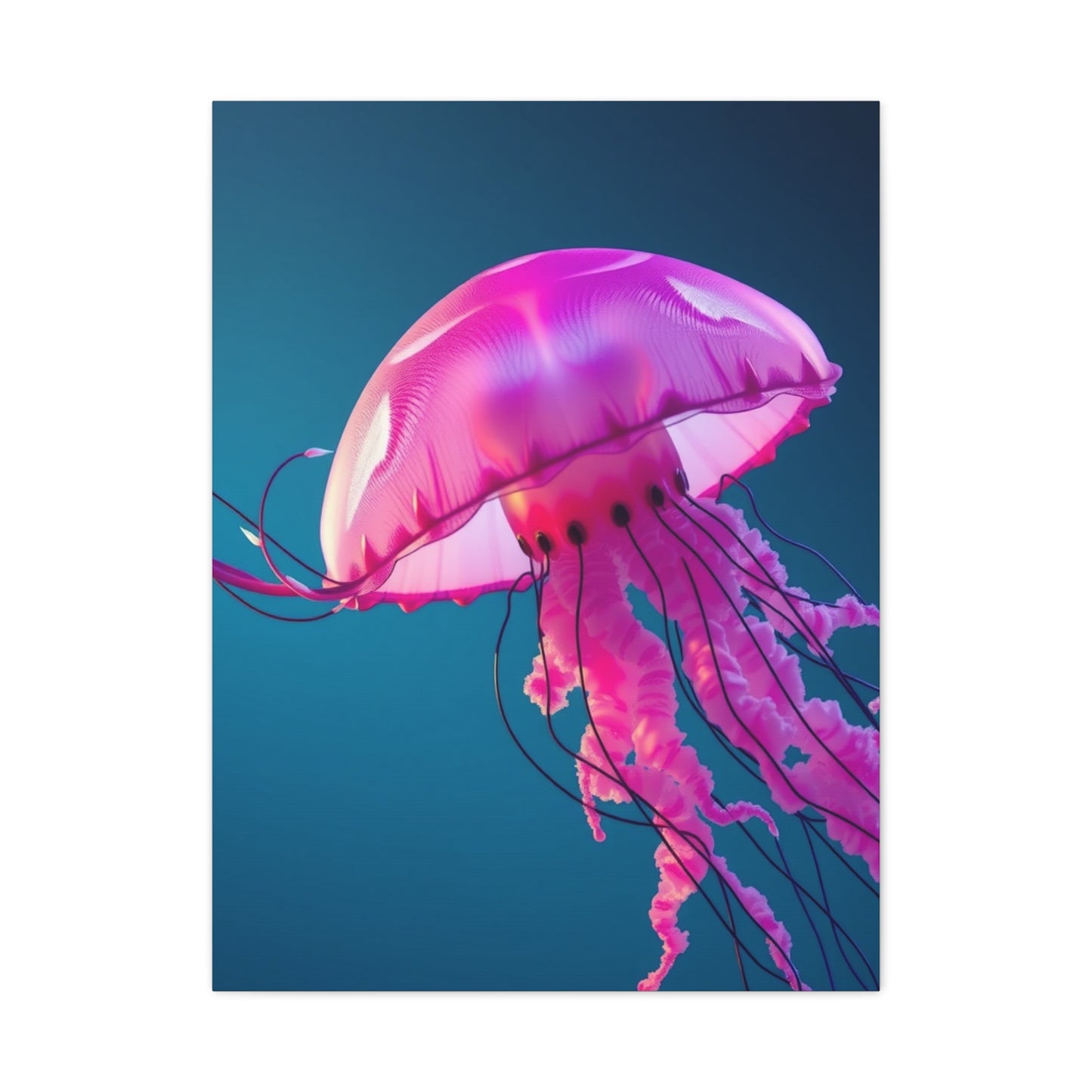 Jellyfish Art Luxury Canvas Wall Art & Canvas Print