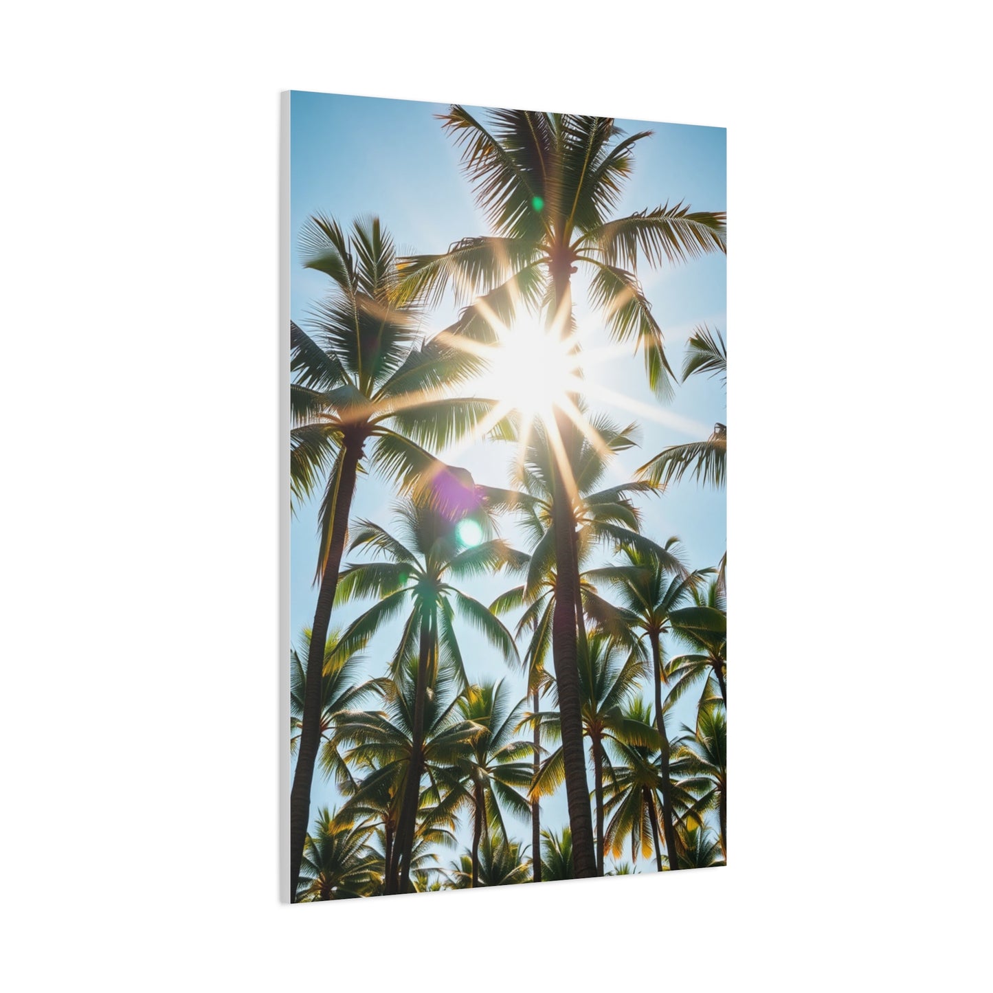 Exquisite Palm Panorama Wall Art & Canvas Print