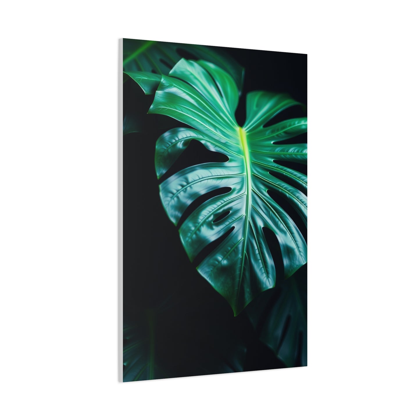 Monstera Plant Art Luxury Canvas Wall Art & Canvas Print