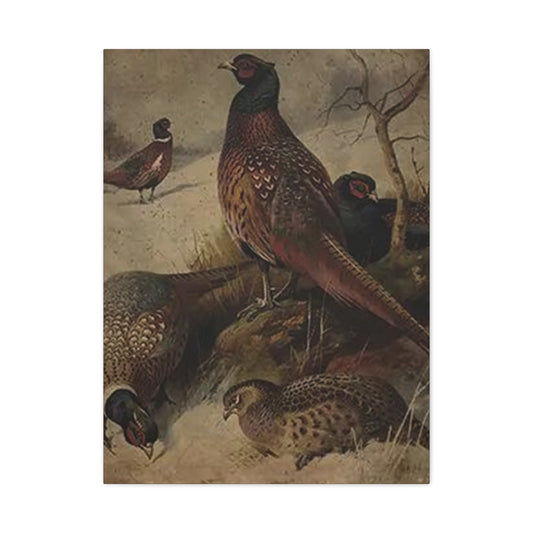 Pheasant Poster Wall Art & Canvas Prints