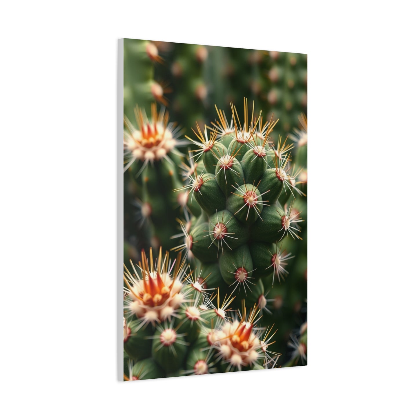 Succulent Essence Canvas Wall Art & Canvas Print