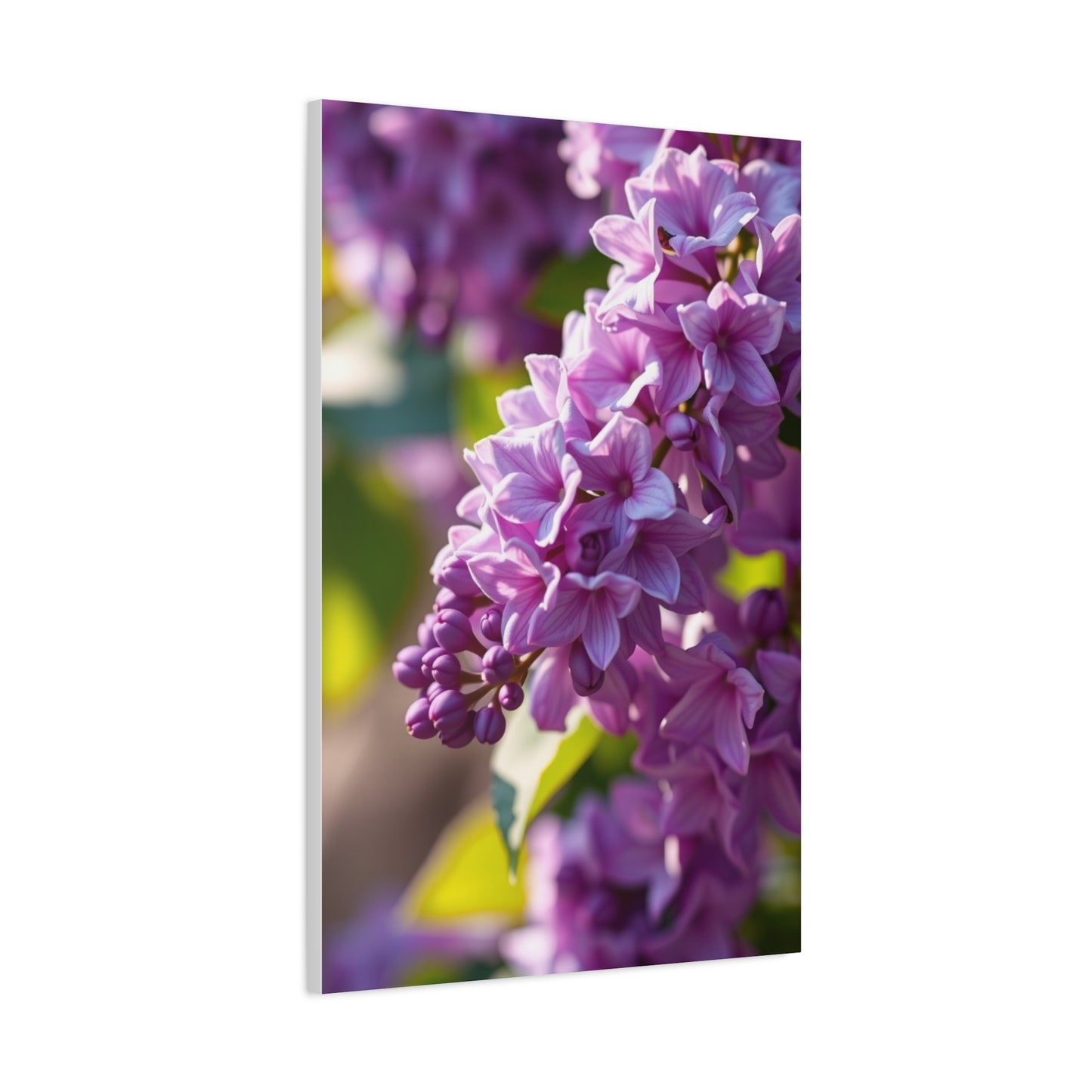 Lilac Flower Art Supreme Gallery Wall Art & Canvas Print