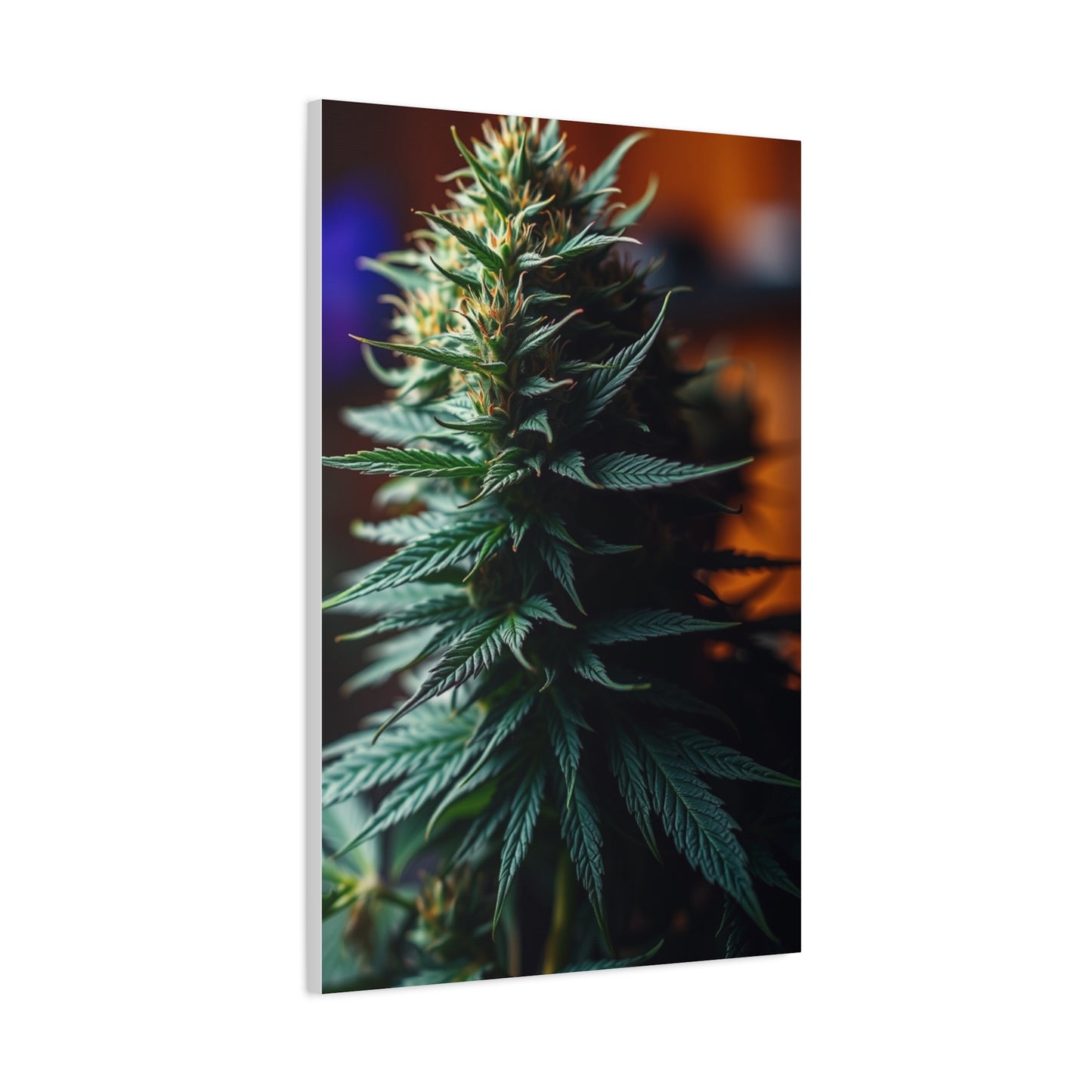 Herbal Opulence Wall Décor Wall Art & Canvas Print