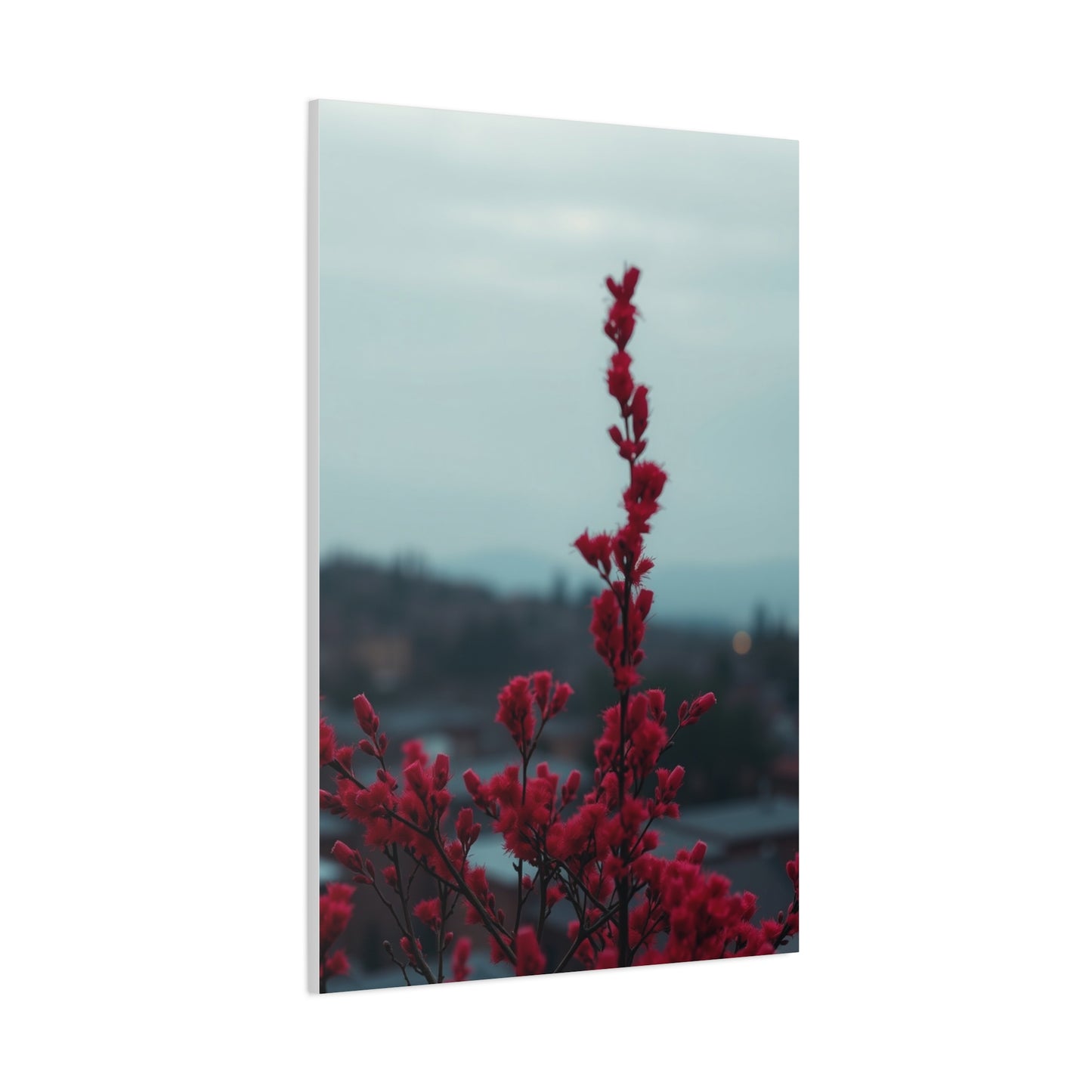 Rosy Elegance Wall Art Wall Art & Canvas Print