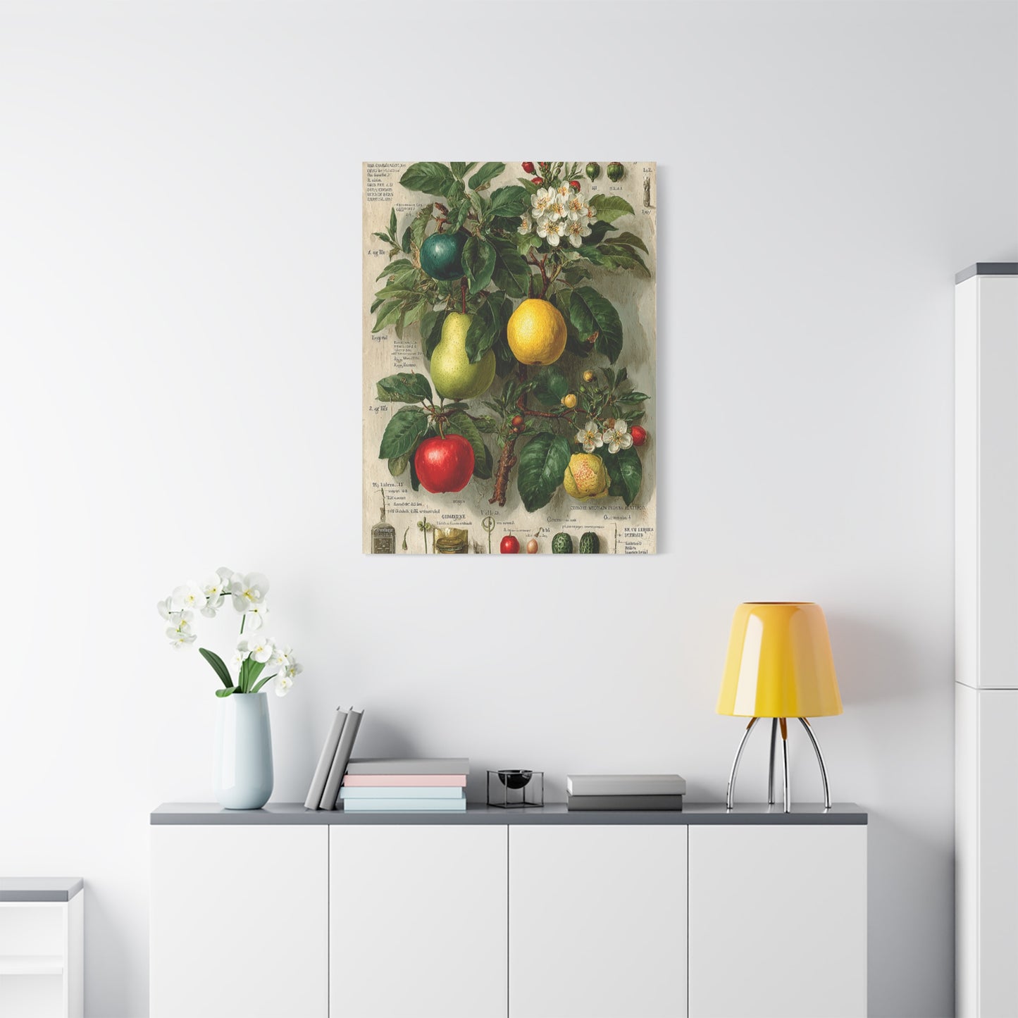 Antique Pomology Botanical Study Wall Art & Canvas Print