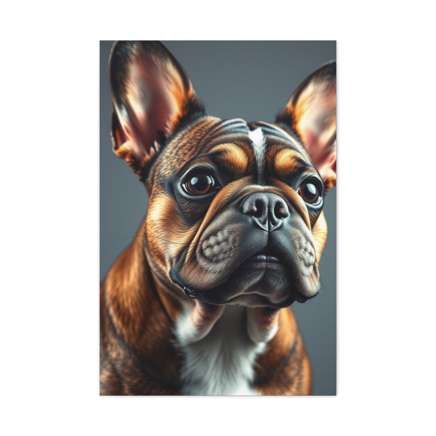 French Bulldog Art Supreme Gallery Wall Art & Canvas Print