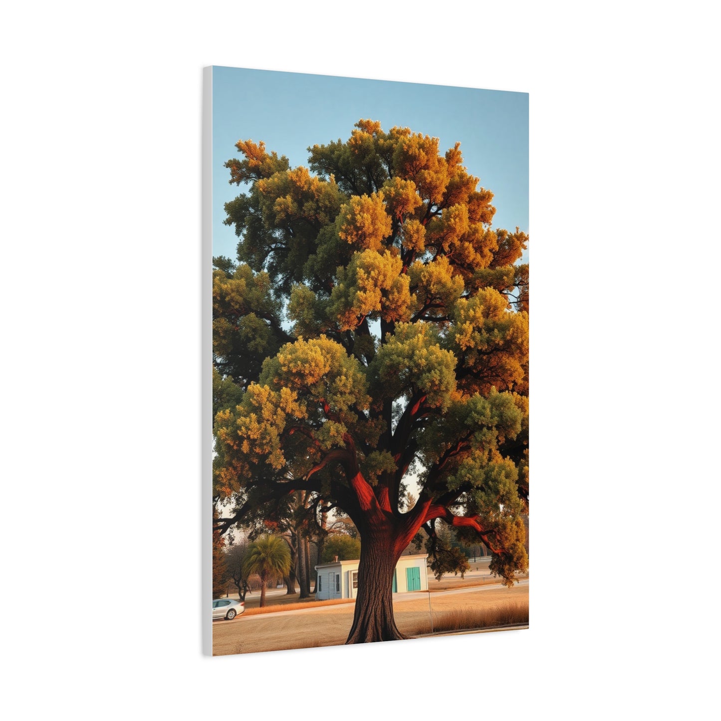 Oak Tree Art Luxury Canvas Wall Art & Canvas Print