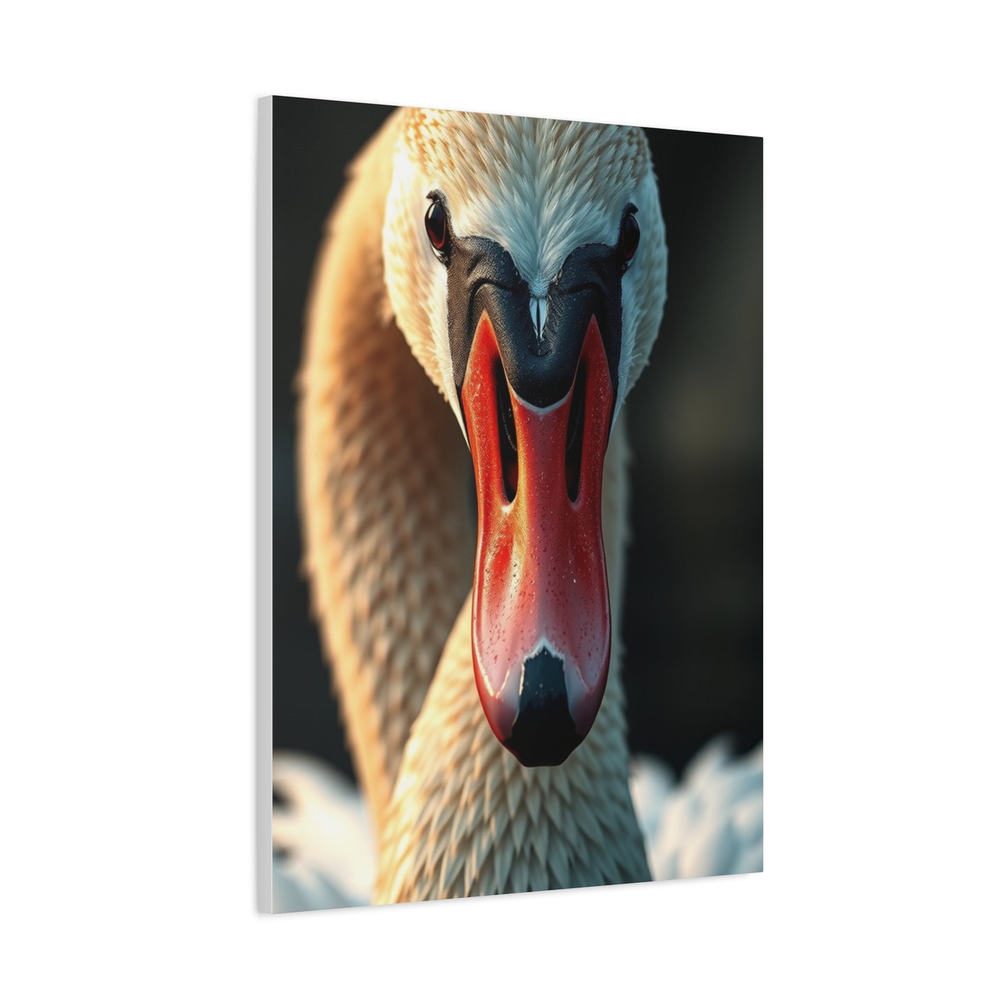 Swan Art Refined Canvas Wall Art & Canvas Print