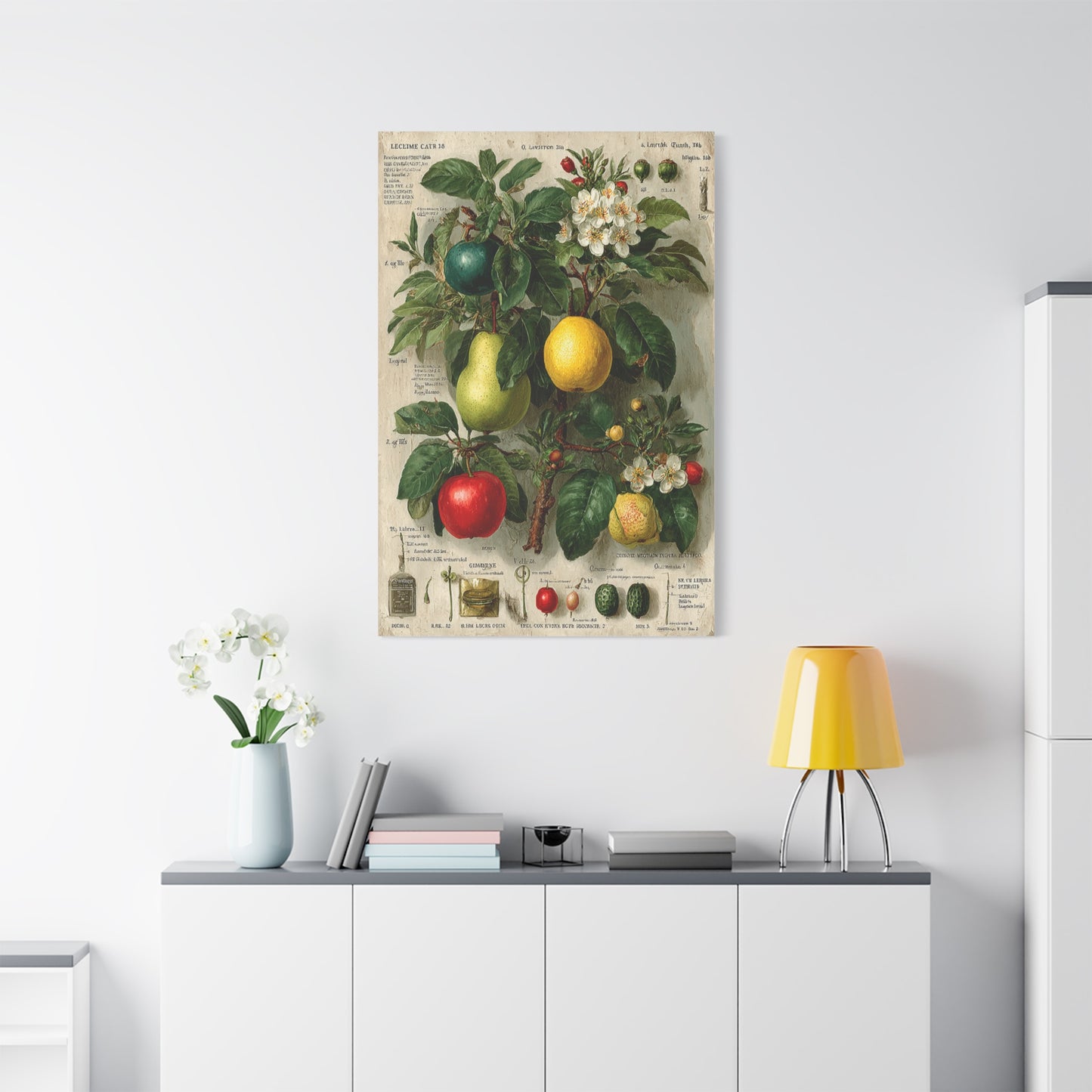 Antique Pomology Botanical Study Wall Art & Canvas Print