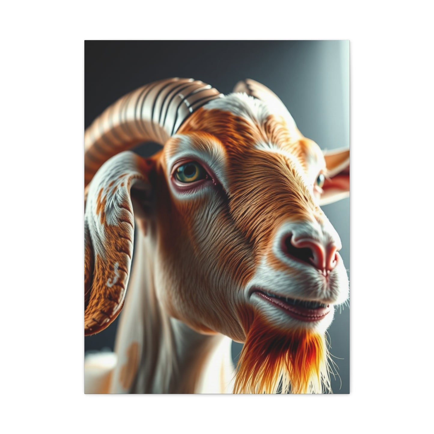 Regal Capra Artistry Wall Art & Canvas Print