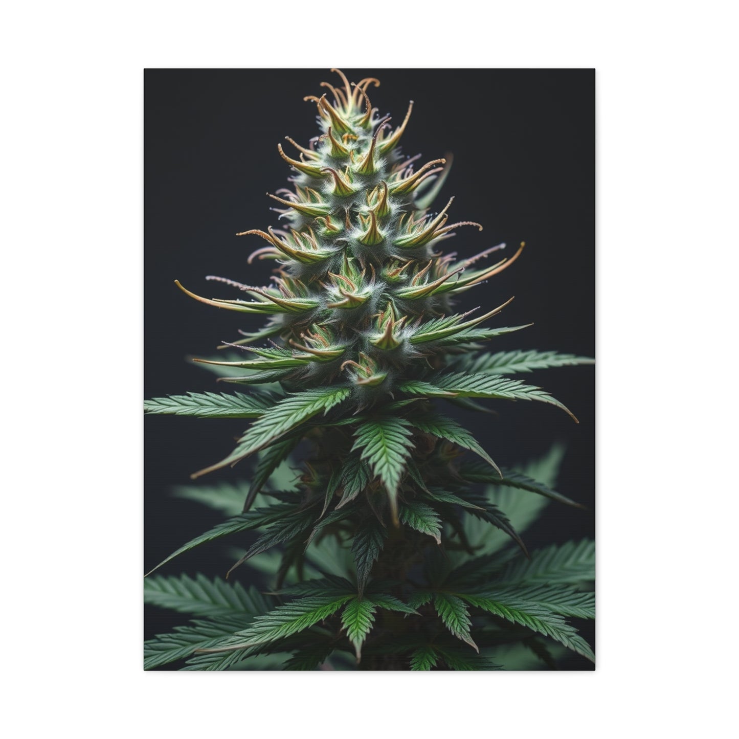 Lush Serenity Canvas Wall Art & Canvas Print