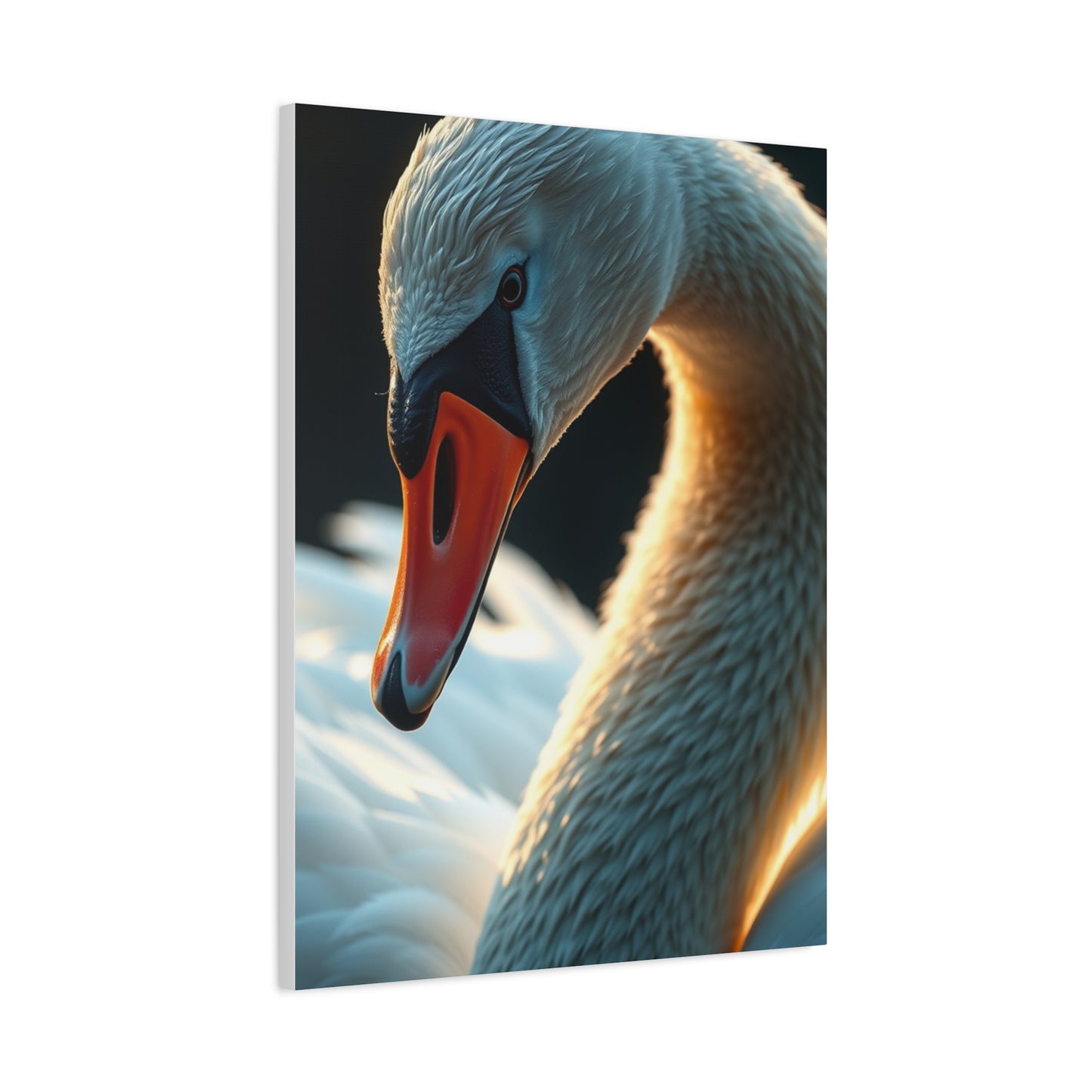 Supreme Swan Art Collection Wall Art & Canvas Print