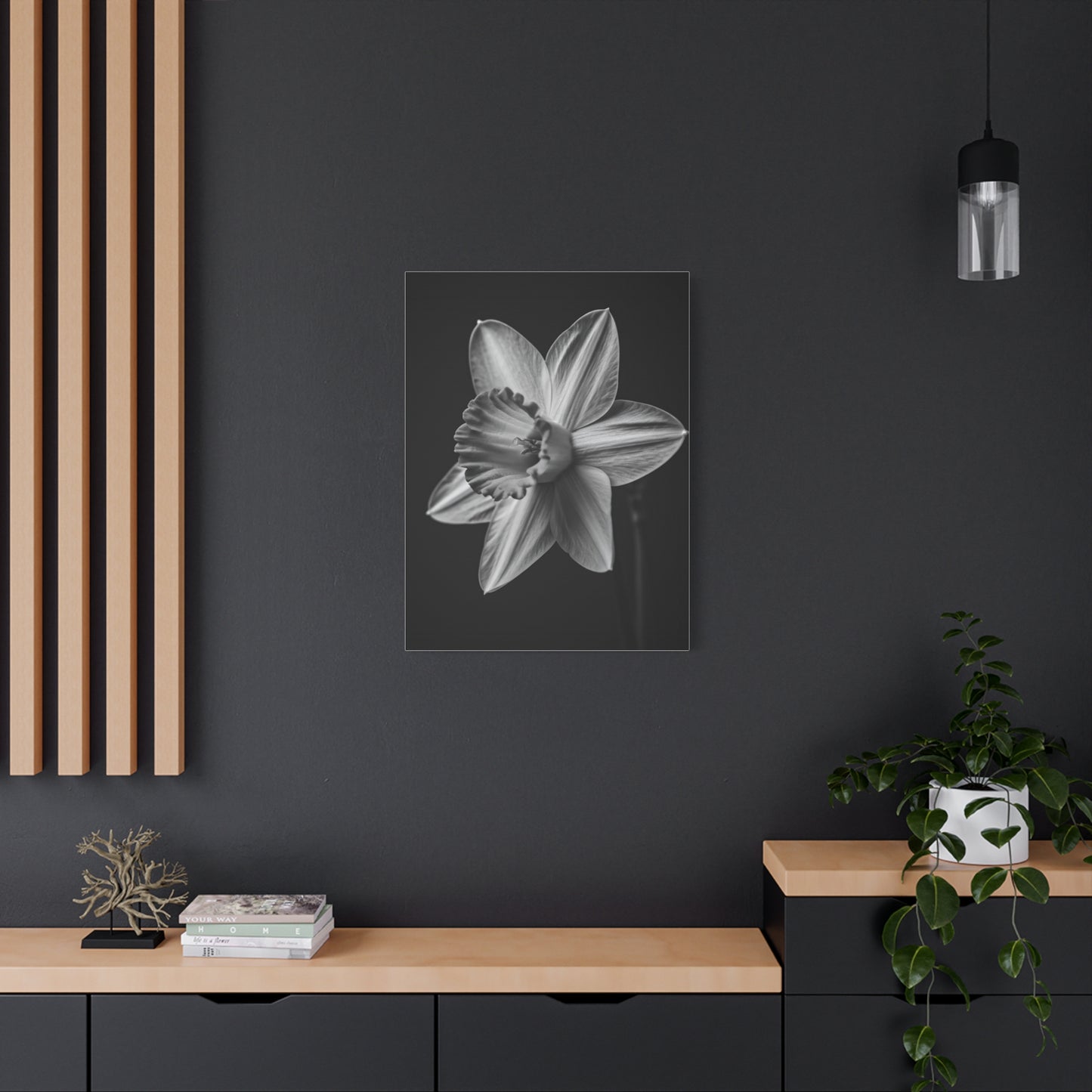 Monochrome Daffodil Grace Wall Art & Canvas Prints