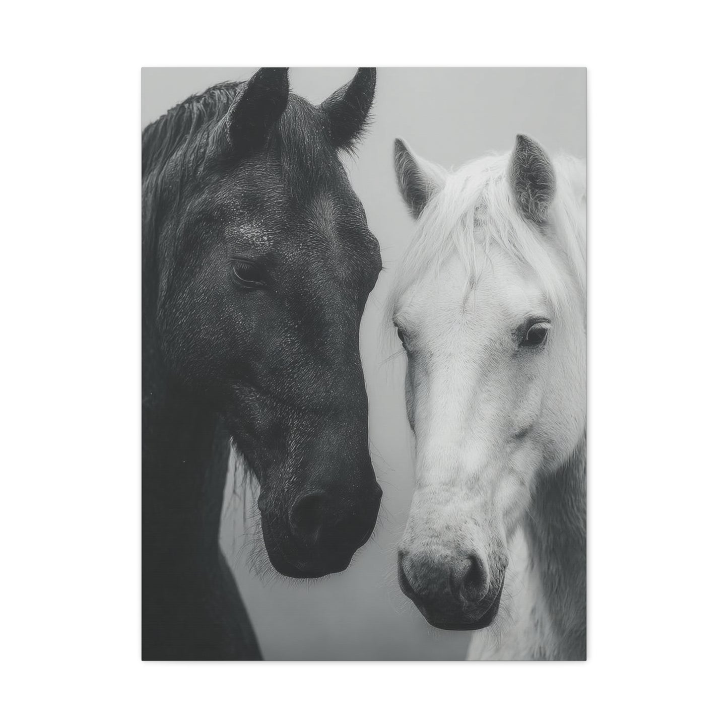 Intimate Dual Horse Monochrome Wall Art & Canvas Print