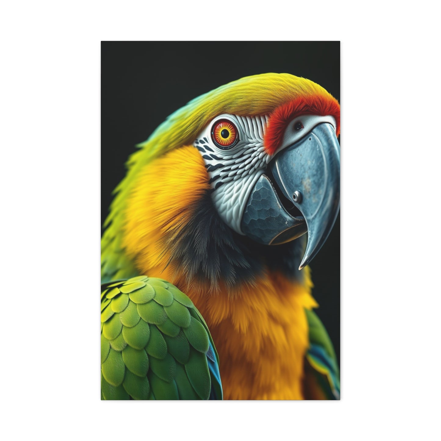 Elite Parrot Art Vision Wall Art & Canvas Print