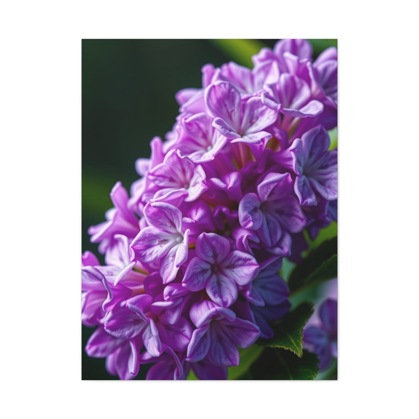 Supreme Lilac Flower Art Collection Wall Art & Canvas Print