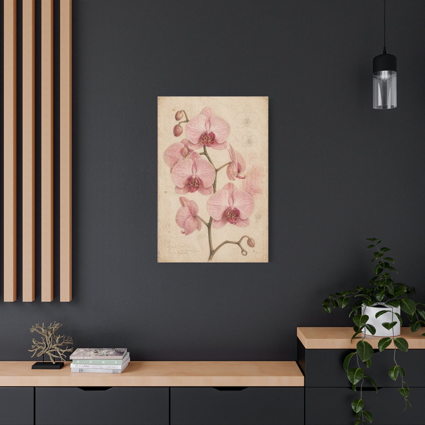 Vintage Orchid Botanical Study Wall Art & Canvas Print
