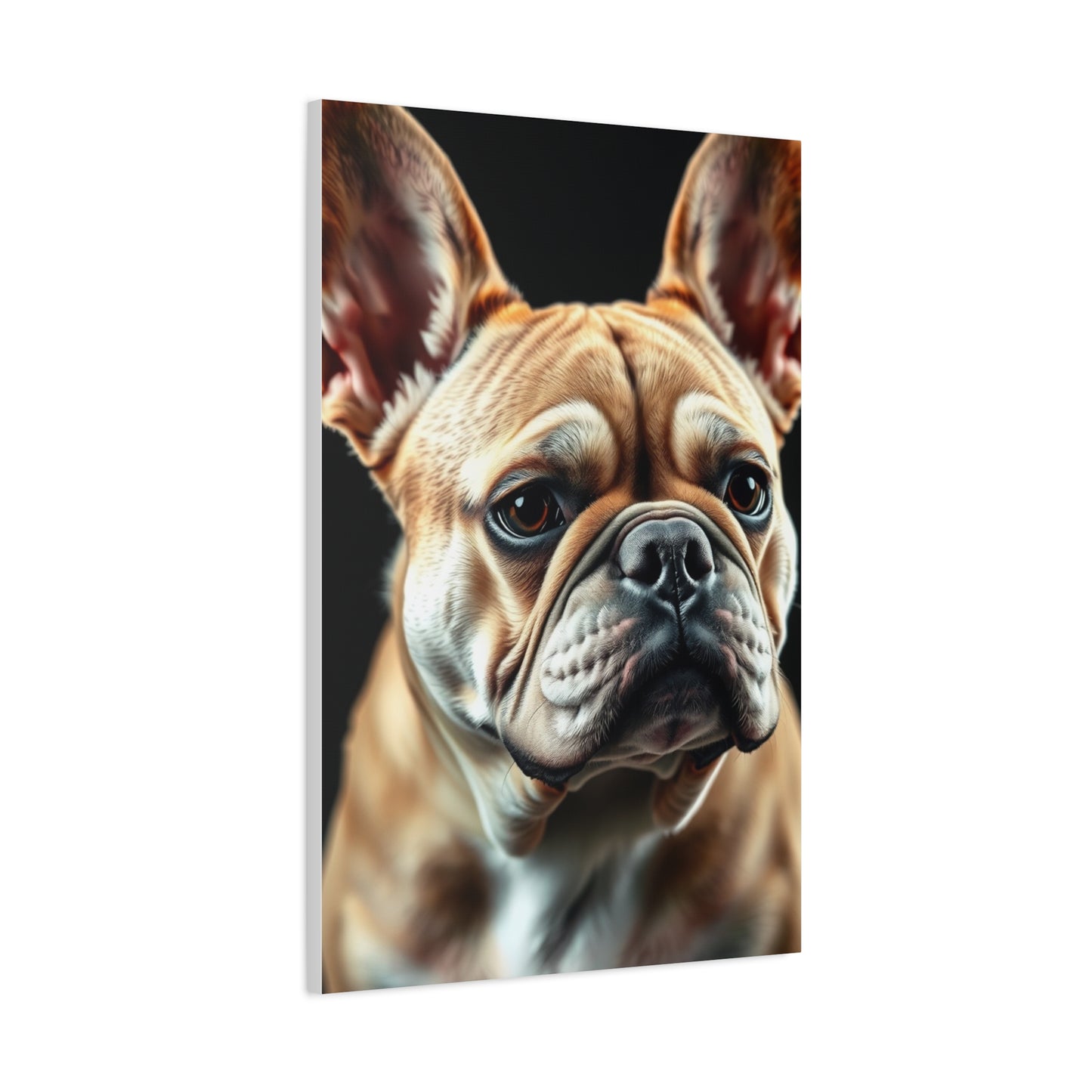 Supreme French Bulldog Art Collection Wall Art & Canvas Print