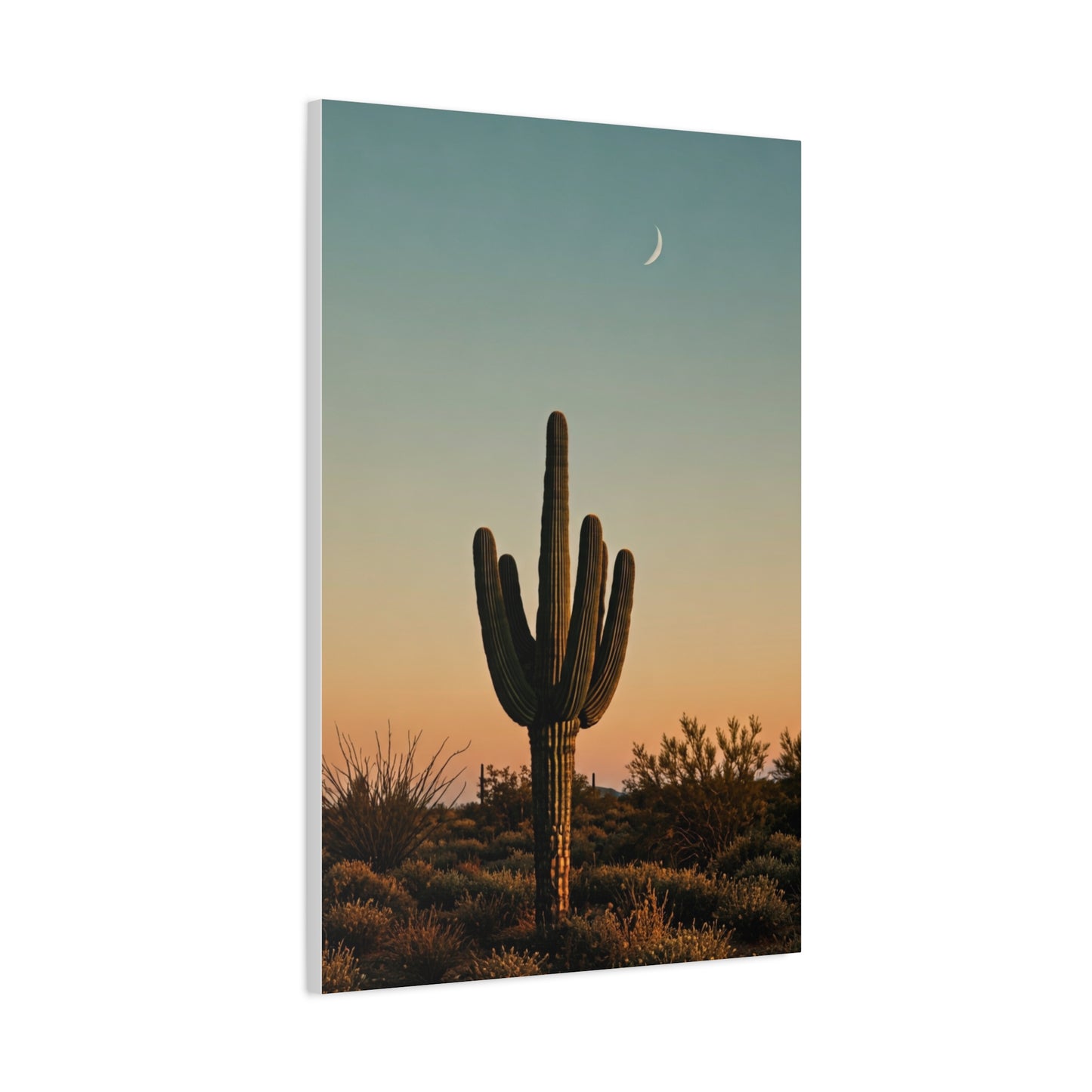 Solitary Saguaro Under Open Desert Sky Wall Art & Canvas Prints