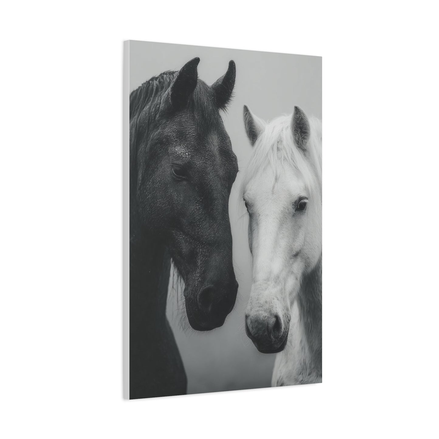 Intimate Dual Horse Monochrome Wall Art & Canvas Print
