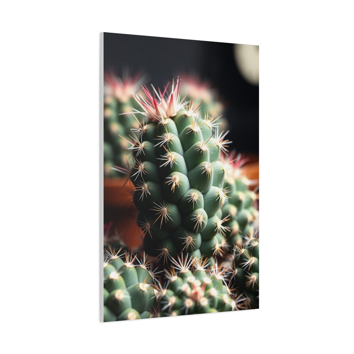 Desert Opulence Canvas Wall Art & Canvas Print