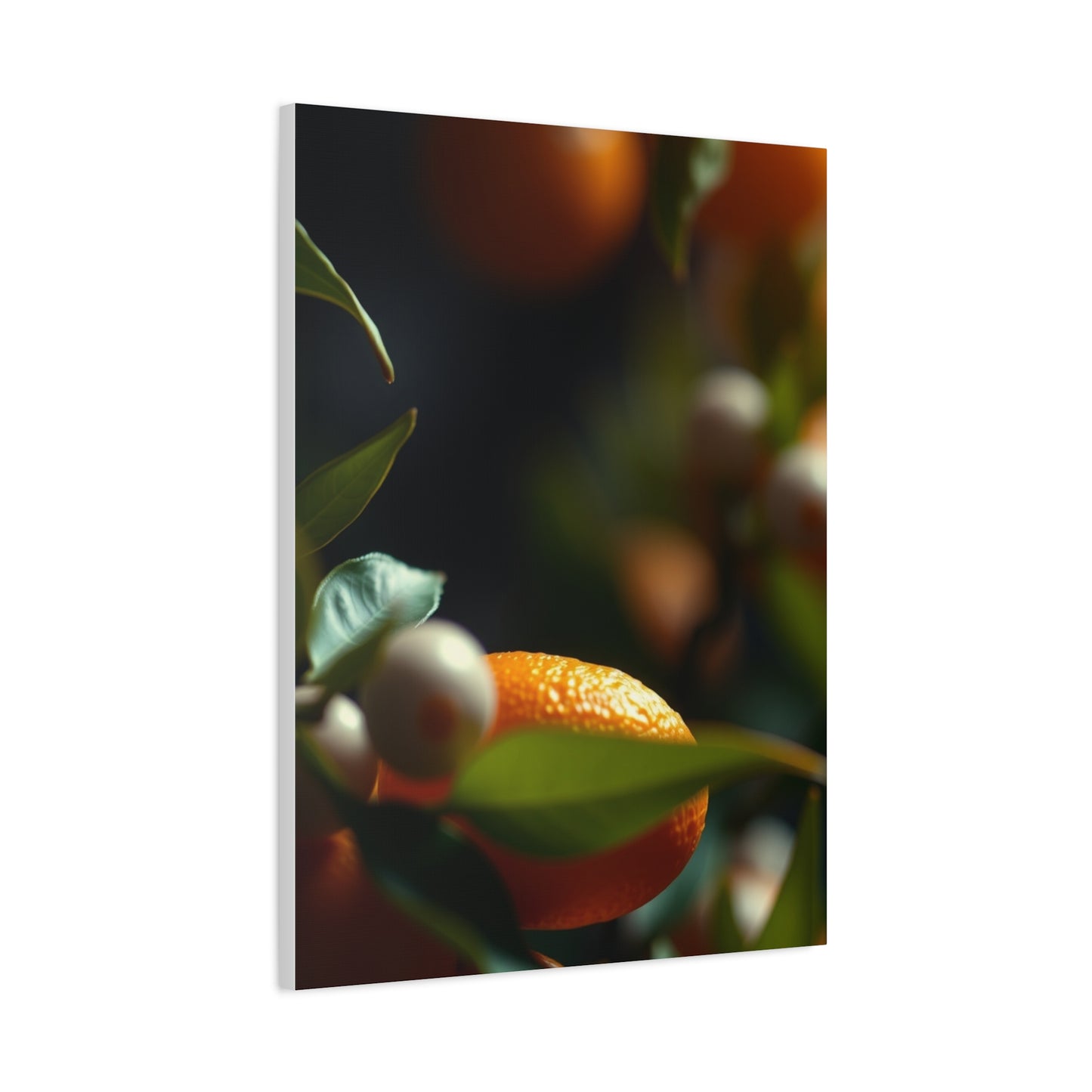 Citrus Elegance Wall Decor Wall Art & Canvas Print