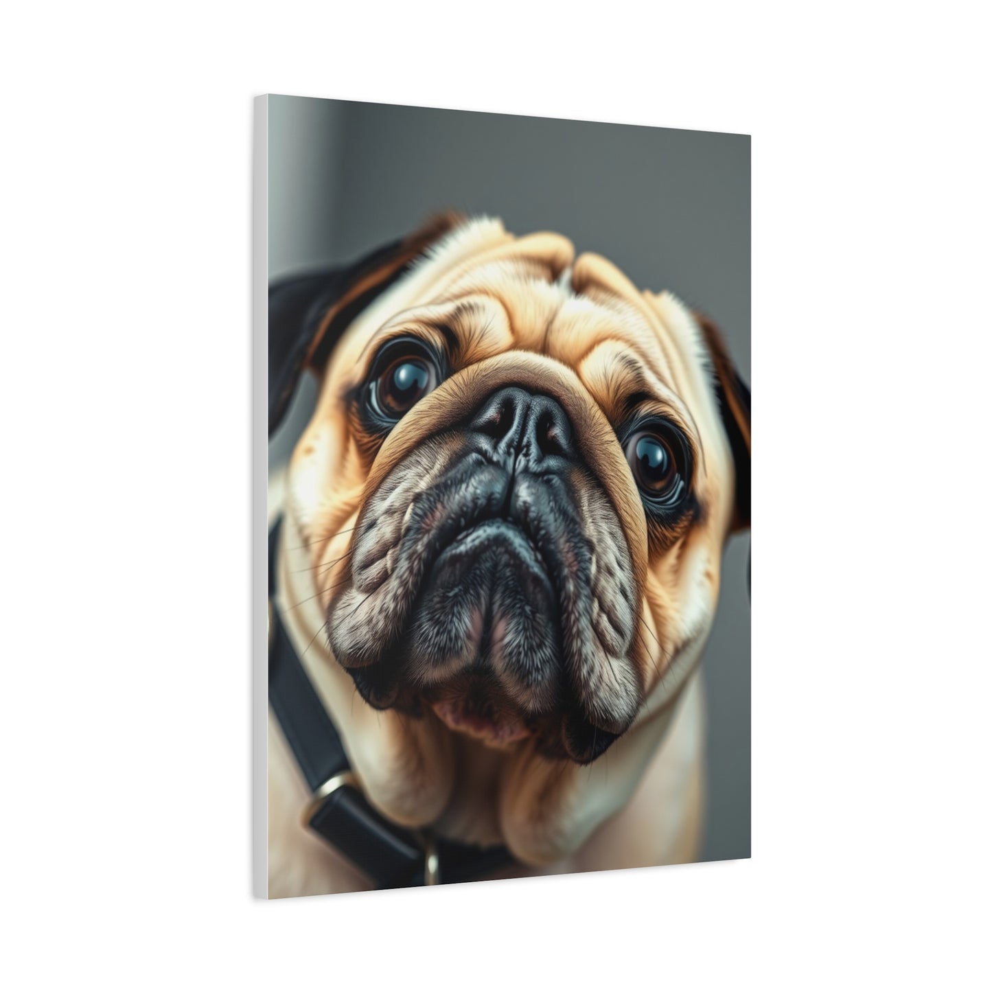 Pug Art Supreme Gallery Wall Art & Canvas Print