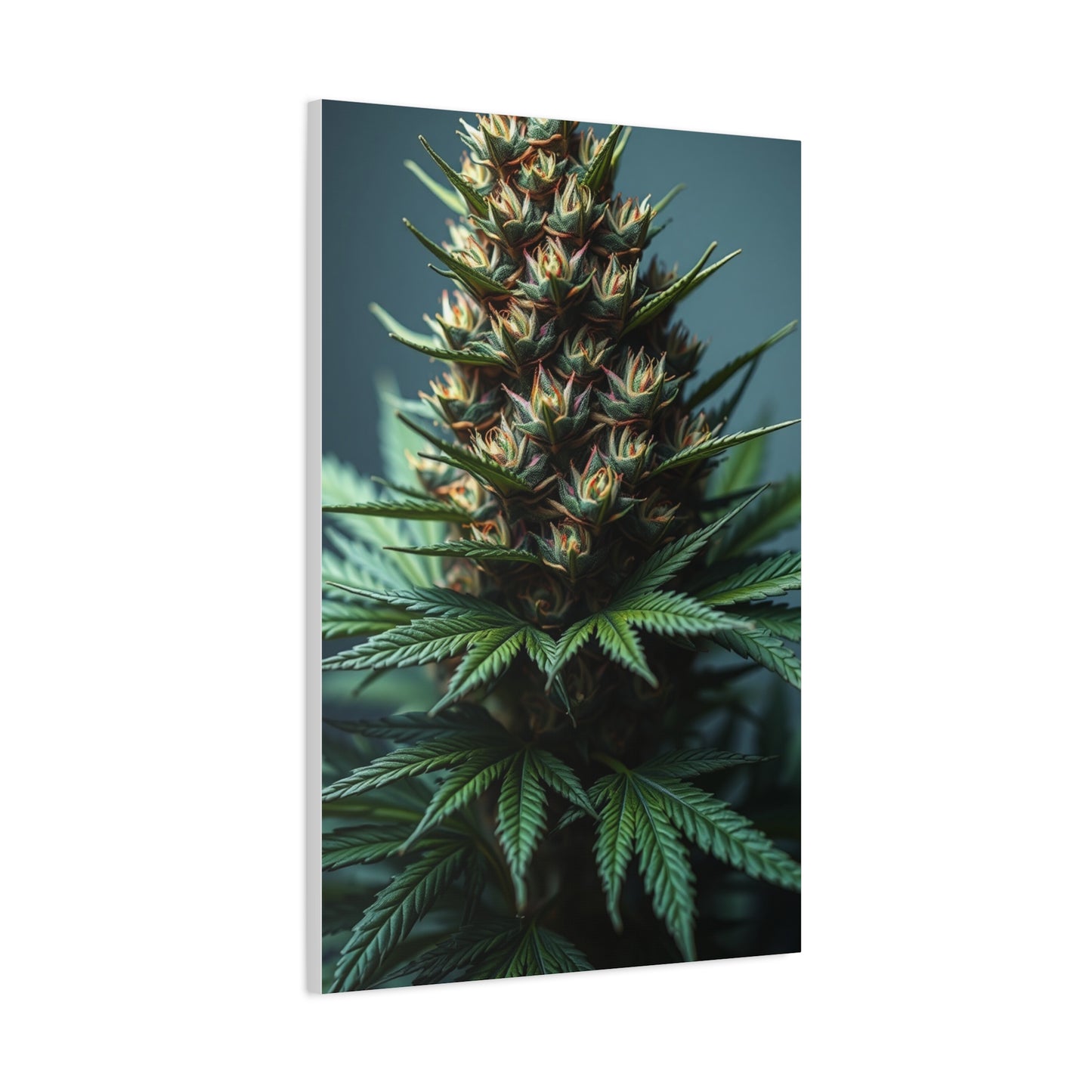 Emerald Reverie Art Wall Art & Canvas Print