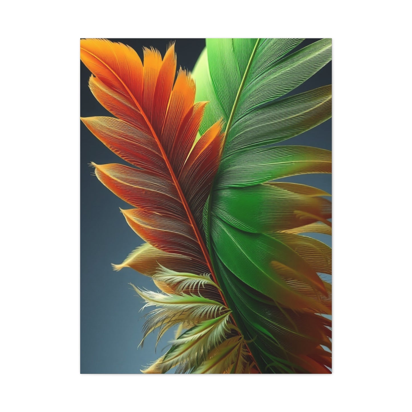Supreme Feather Art Collection Wall Art & Canvas Print