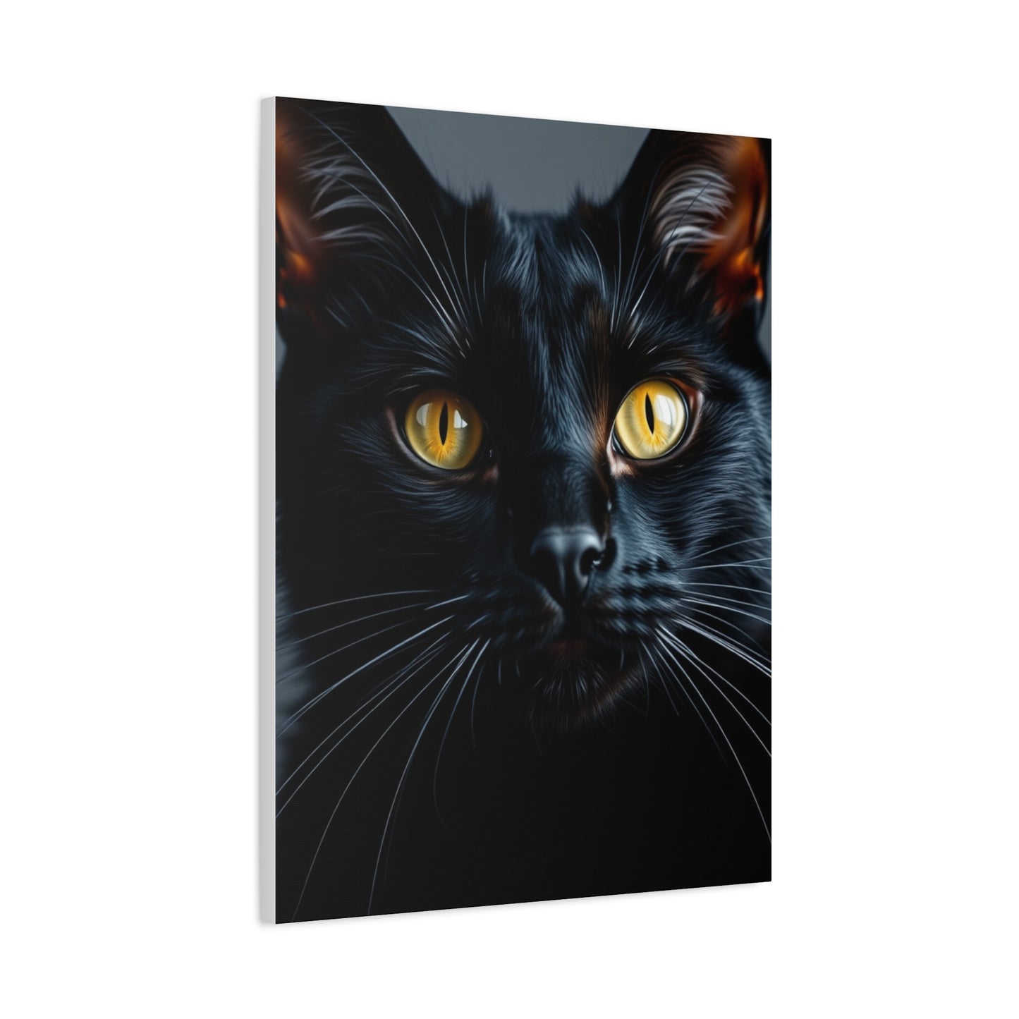Supreme Black Cat Art Collection Wall Art & Canvas Print