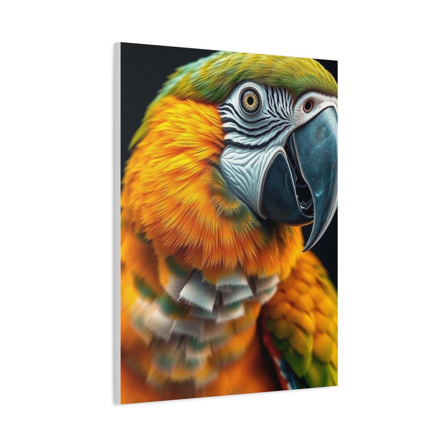 Vision Parrot Art Art Wall Art & Canvas Print