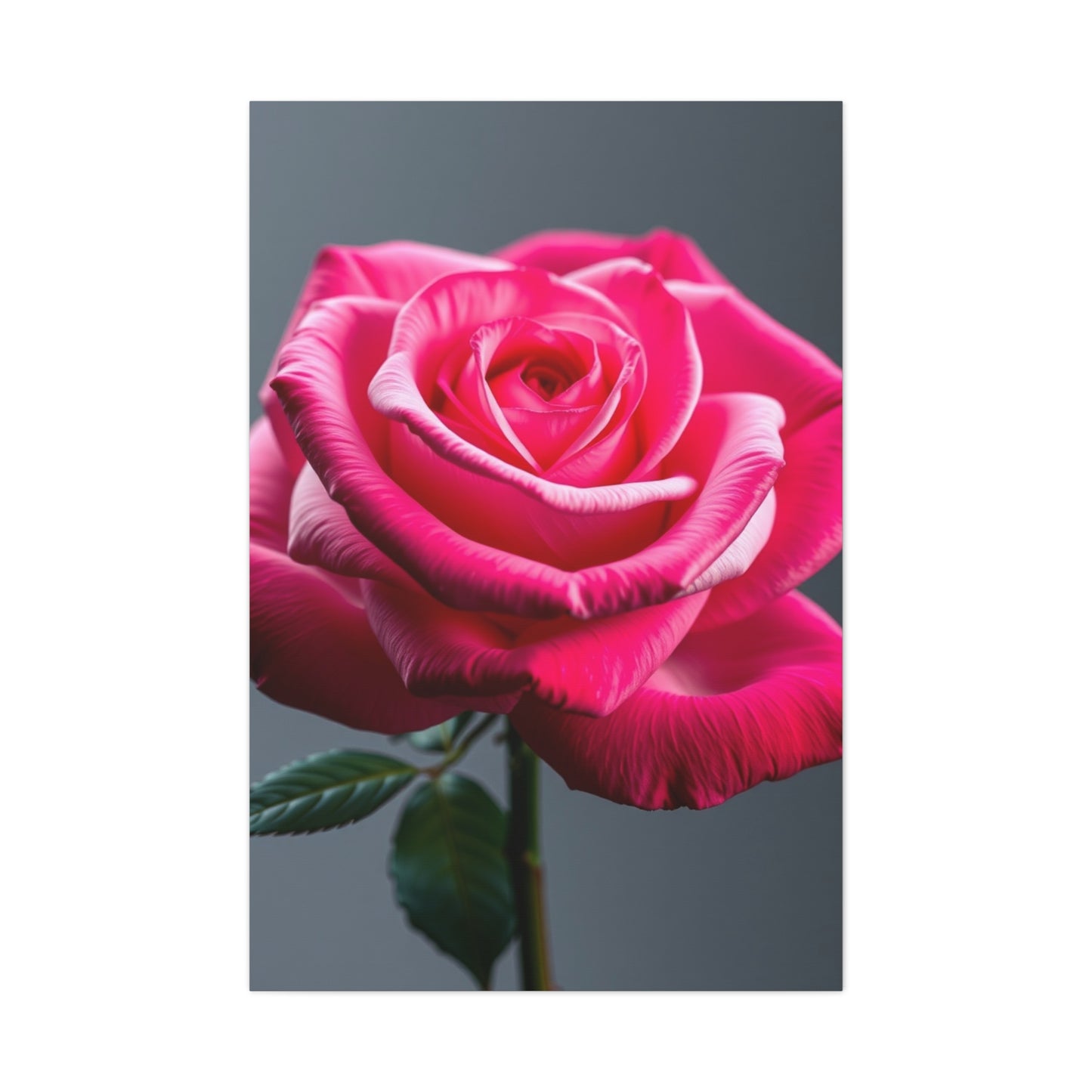 Rose Flower Art Luxury Canvas Wall Art & Canvas Print