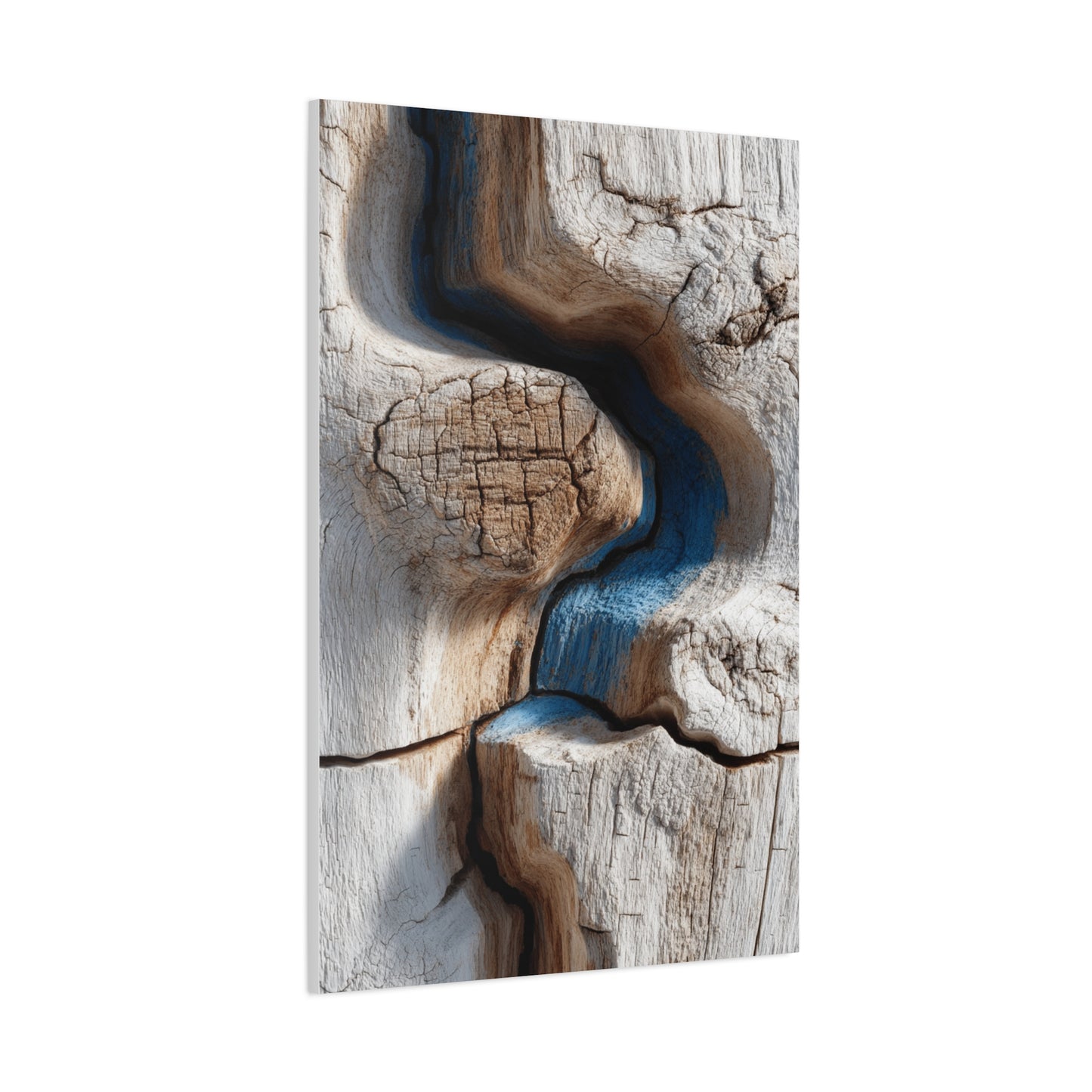 Driftwood Grain Abstract Texture Wall Art & Canvas Print
