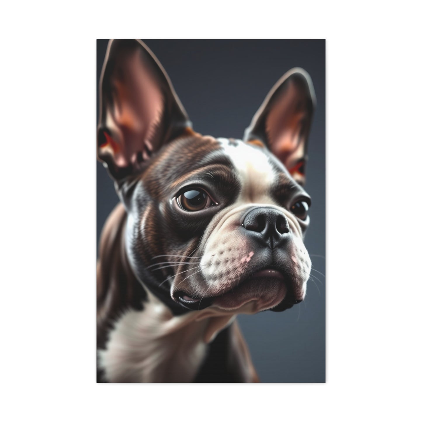 Boston Terrier Art Refined Canvas Wall Art & Canvas Print