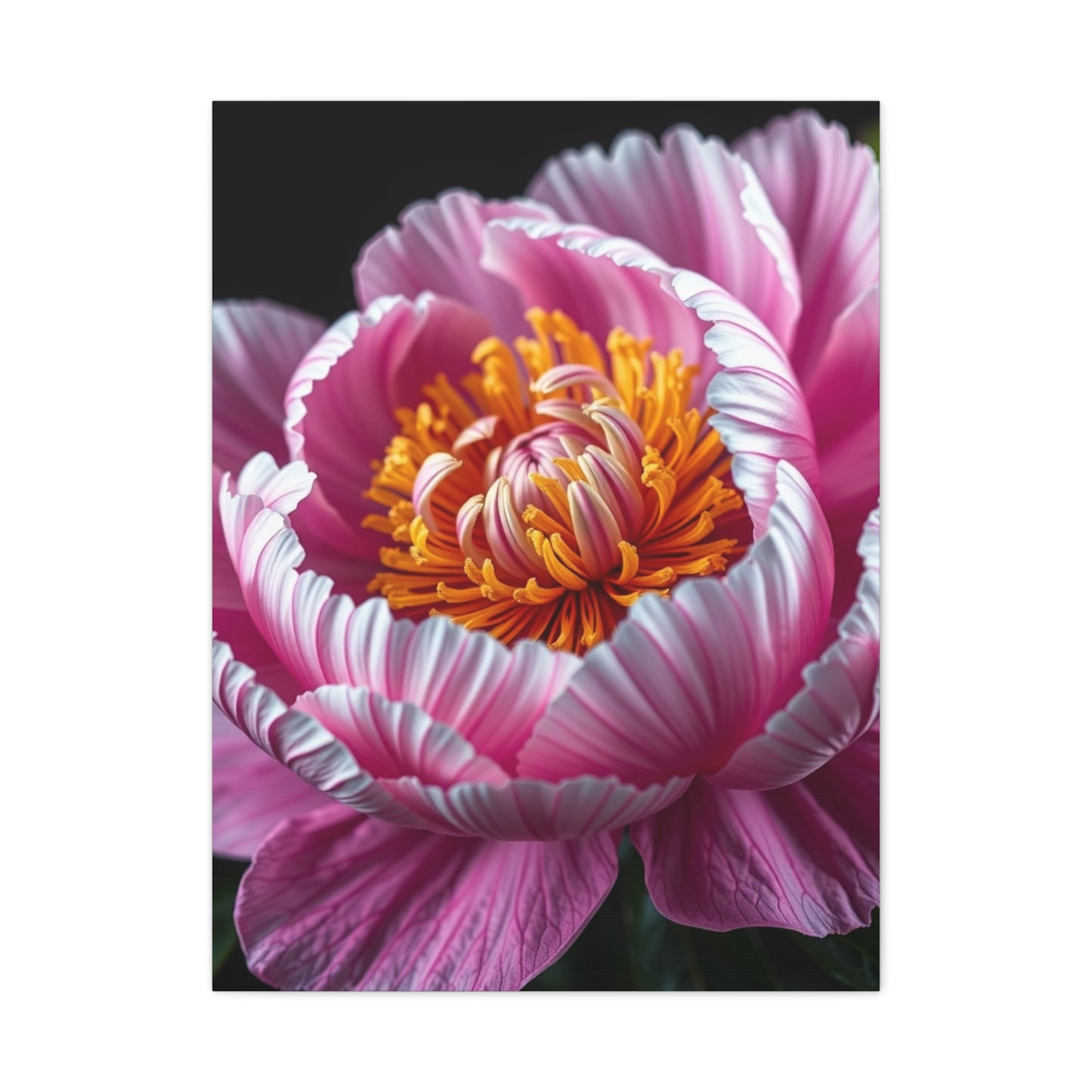 Celestial Peony Elegance Wall Art & Canvas Print