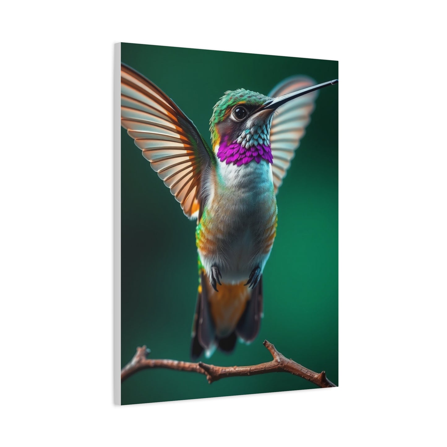 Vision Humming Bird Art Art Wall Art & Canvas Print