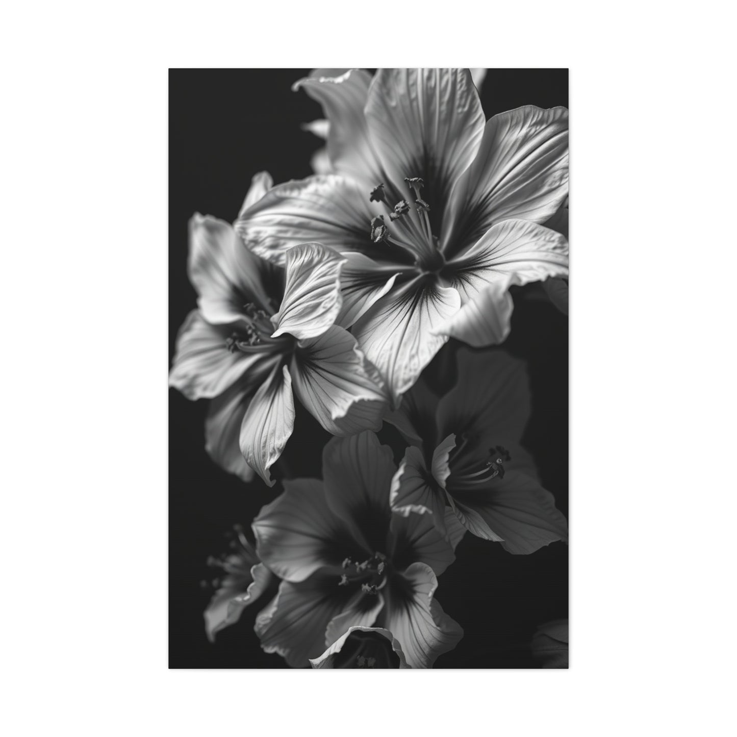 Noir & Blanc Floral Symphony Wall Art & Canvas Print