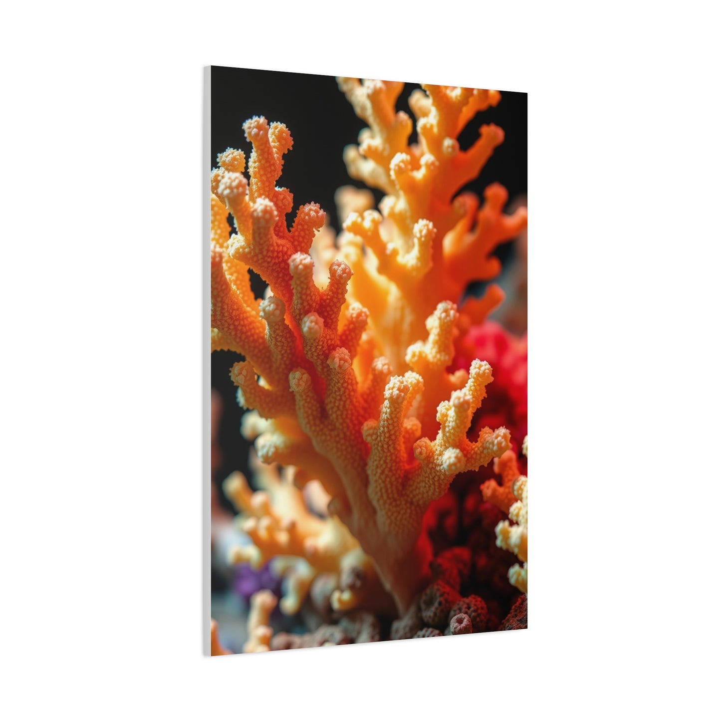 Elite Coral Art Vision Wall Art & Canvas Print