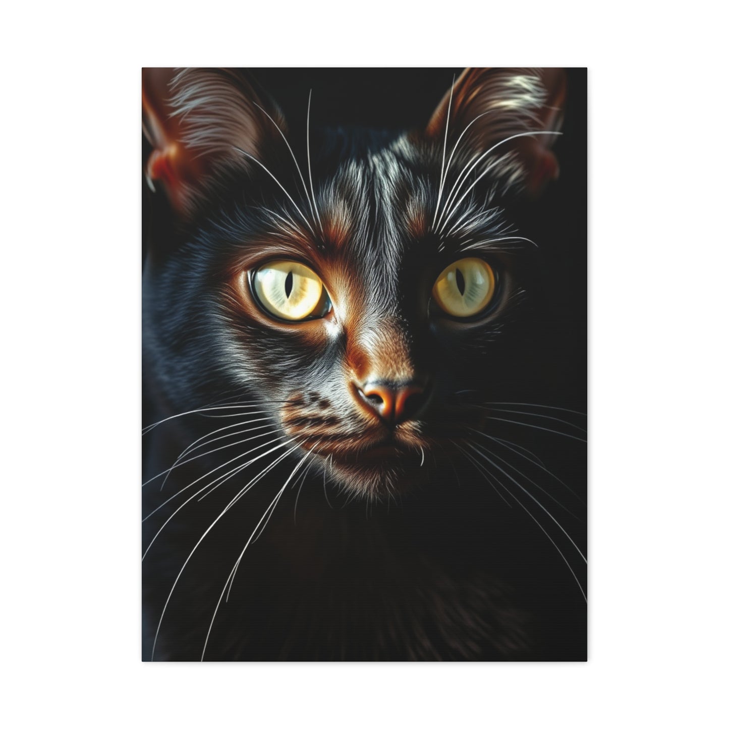 Black Cat Art Refined Canvas Wall Art & Canvas Print