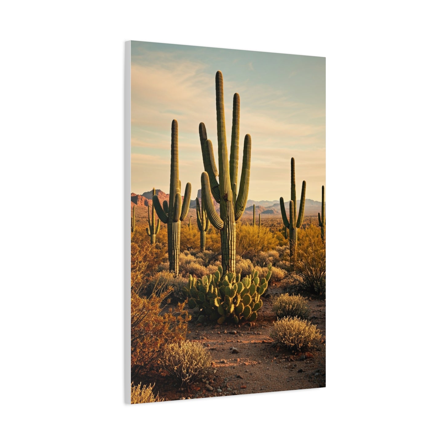 Sonoran Desert Saguaro Field Wall Art & Canvas Prints