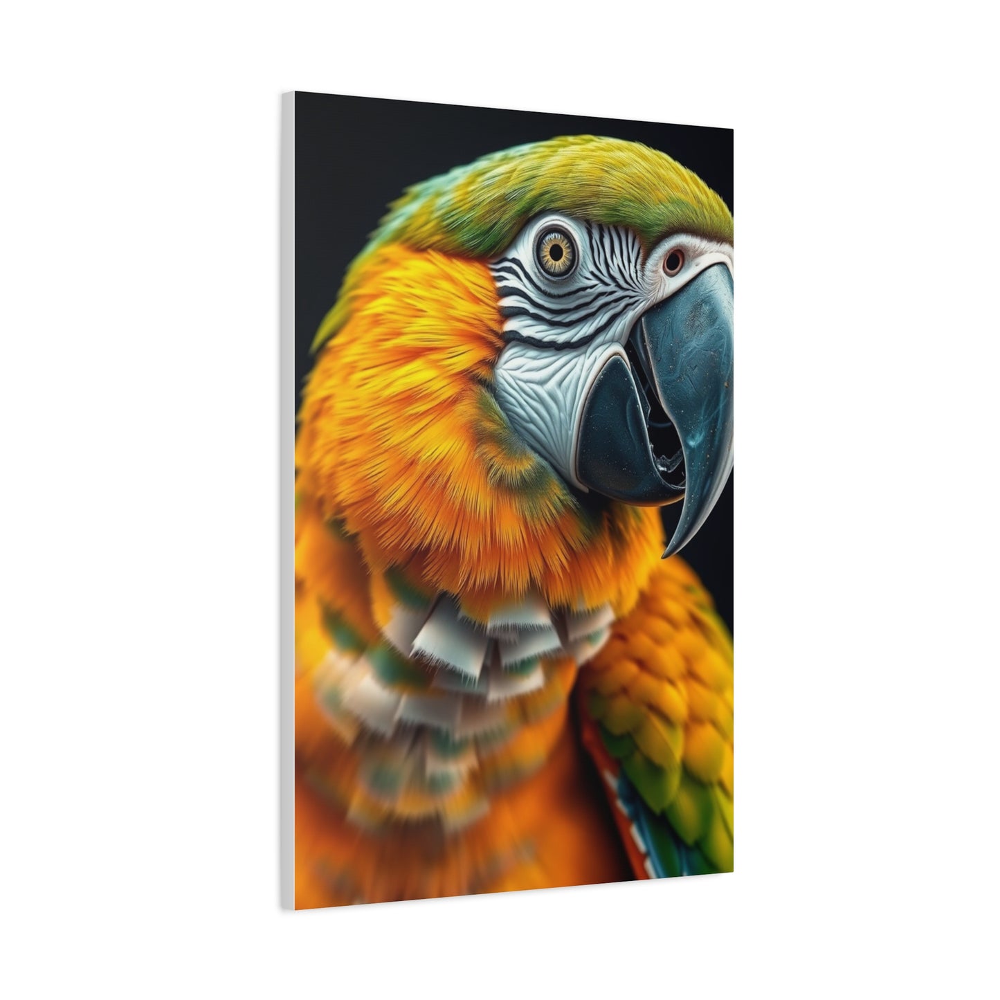 Vision Parrot Art Art Wall Art & Canvas Print
