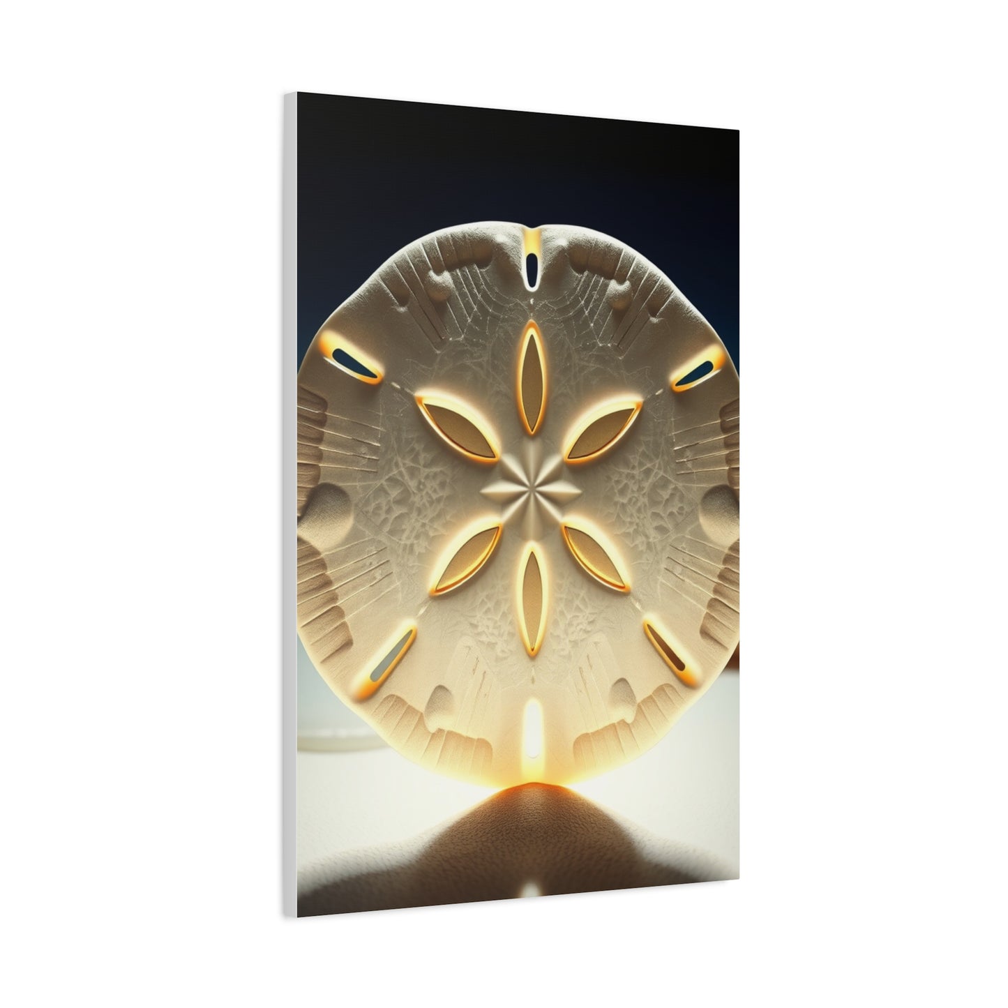 Collection Sand Dollar Art Art Wall Art & Canvas Print