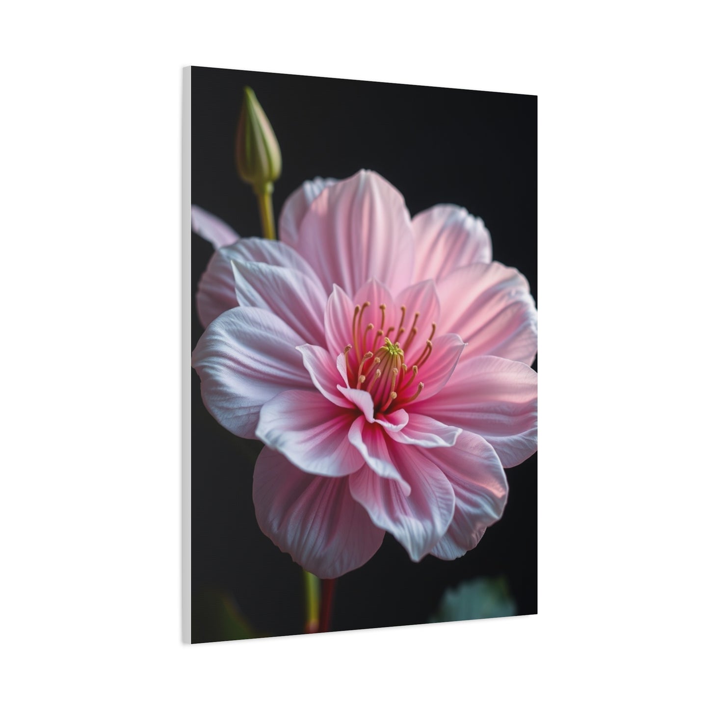 Aesthetic Flora Canvas Wall Art & Canvas Print