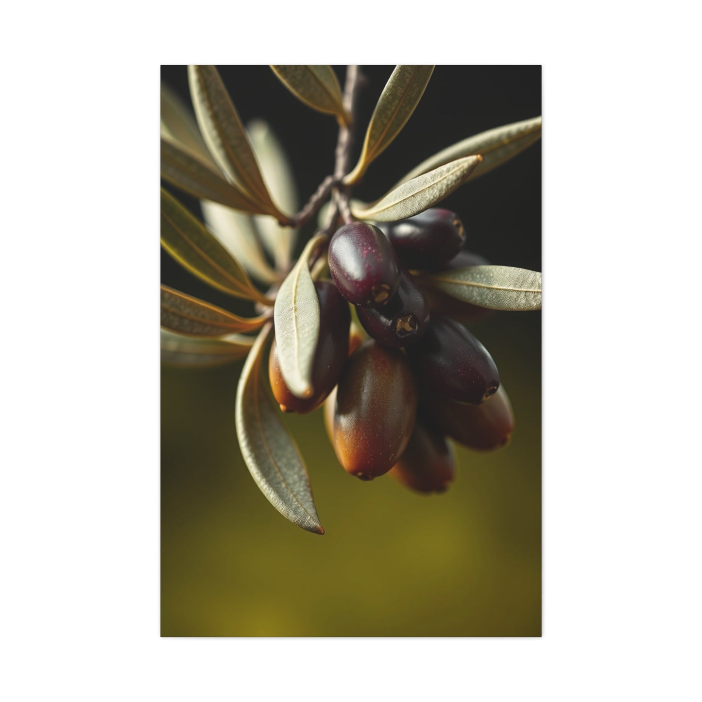 Olive Luxe Masterpiece