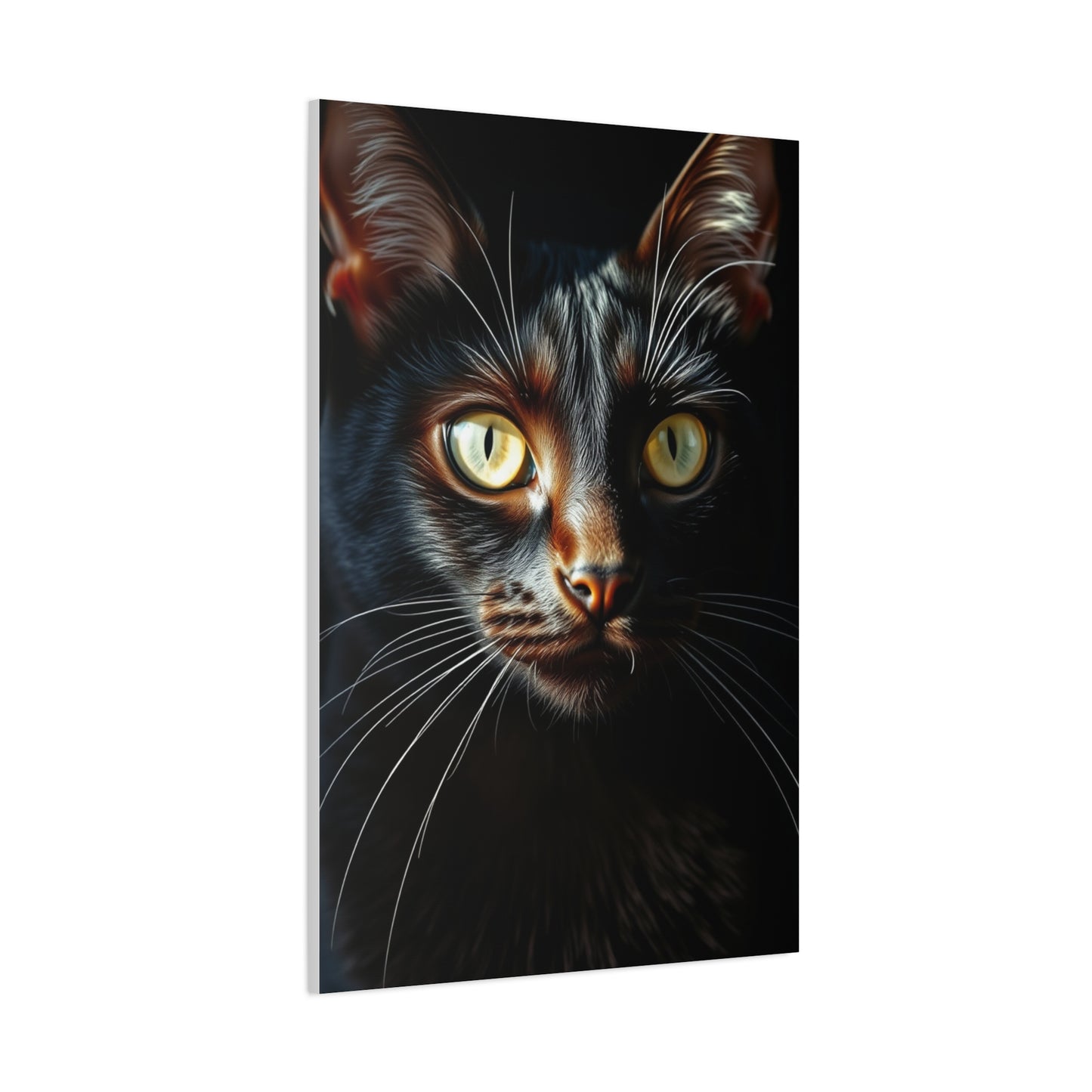 Black Cat Art Refined Canvas Wall Art & Canvas Print