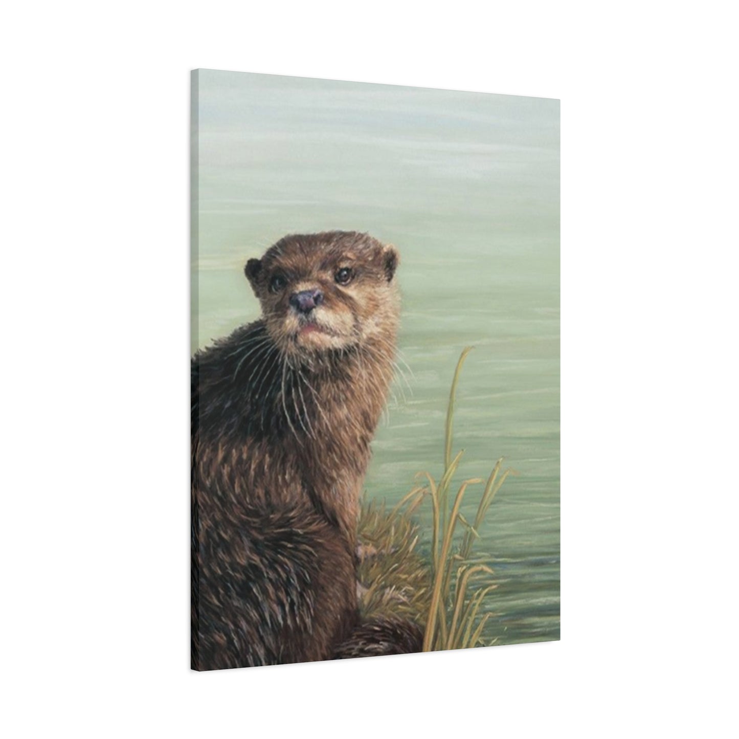Otter Wall Art & Canvas Prints