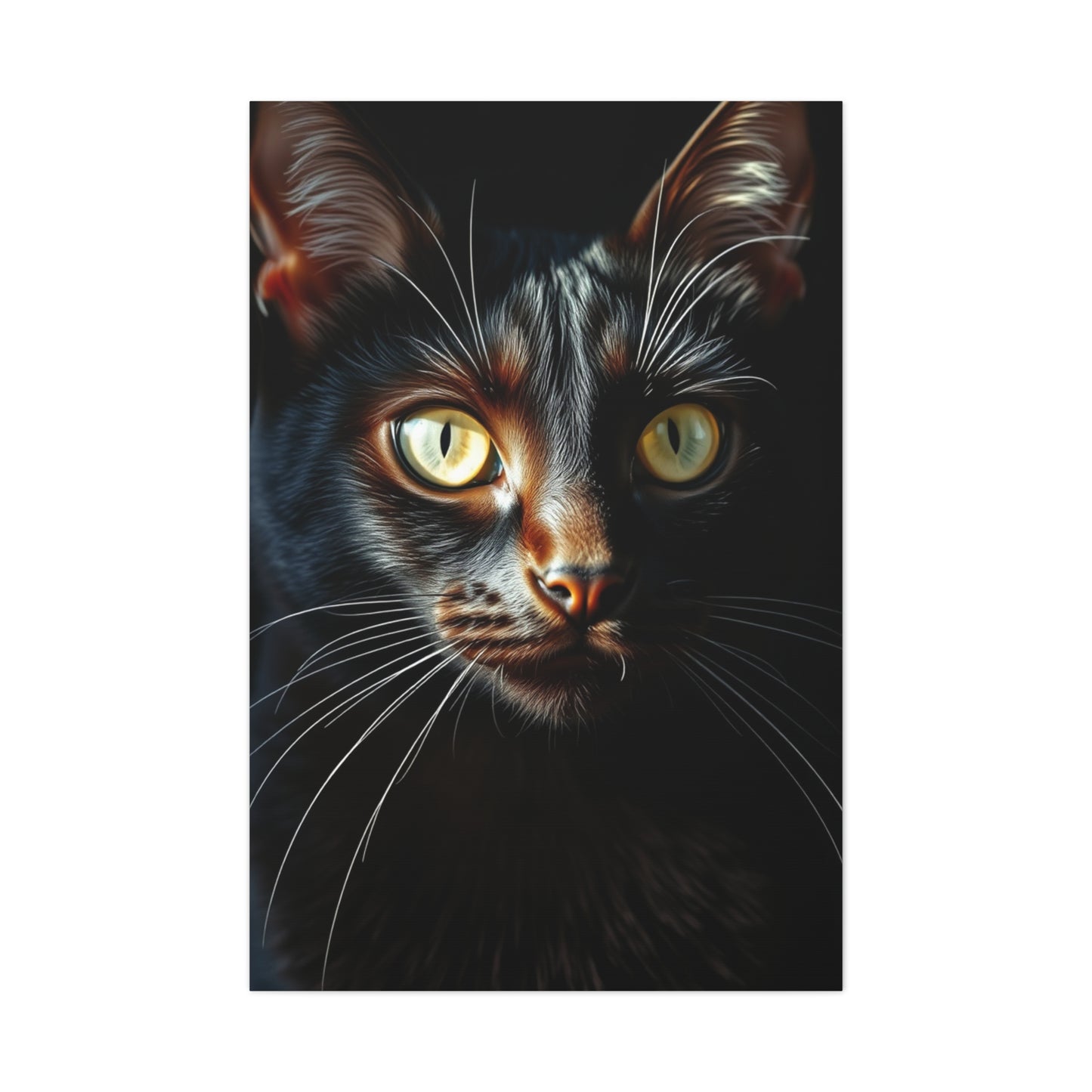 Black Cat Art Refined Canvas Wall Art & Canvas Print